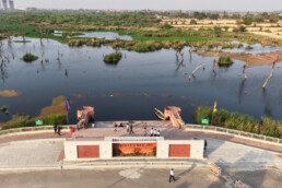 Wetland CG City